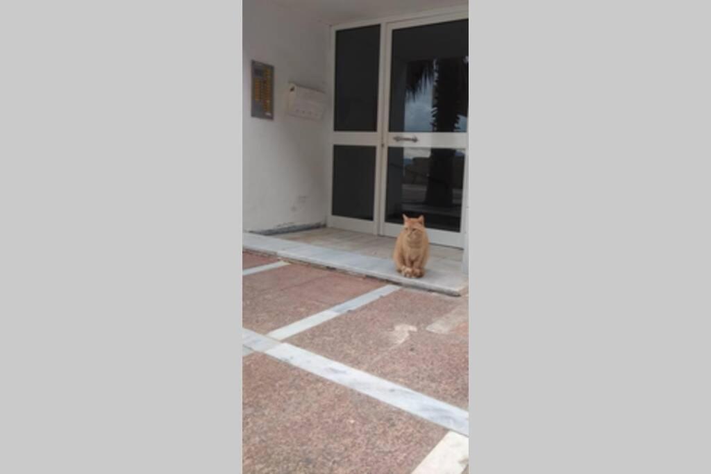 Captain'S Home Loutraki Dış mekan fotoğraf